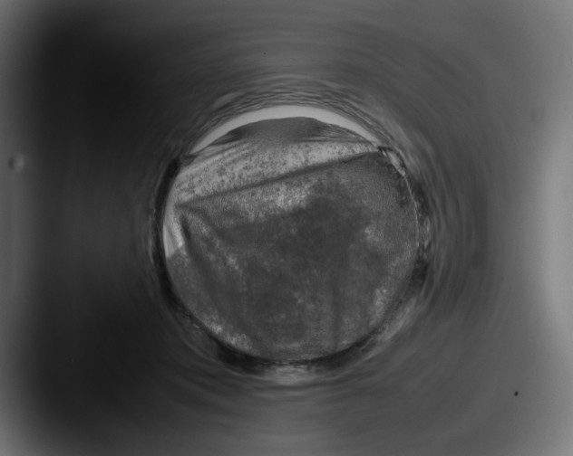 X0000087600413200705181241