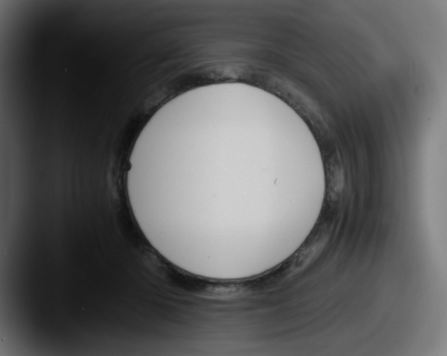 X0000087600414200705181241