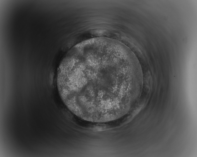 X0000087600420200705181241