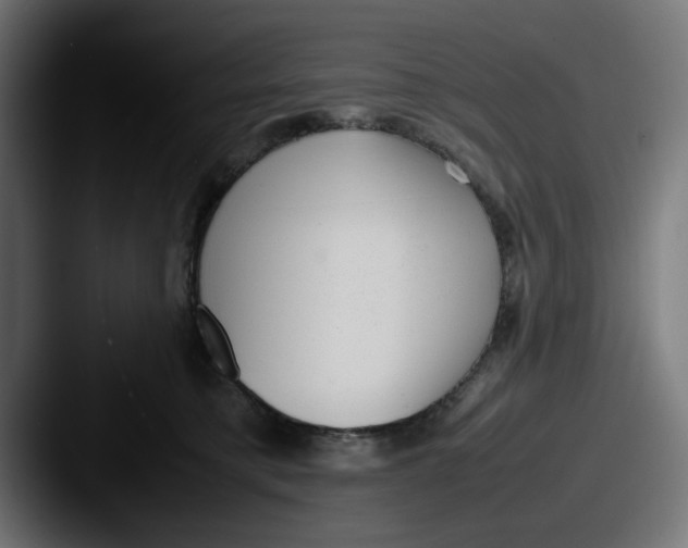 X0000087600421200705181241