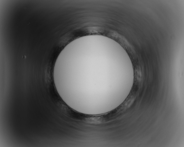 X0000087600422200705181241