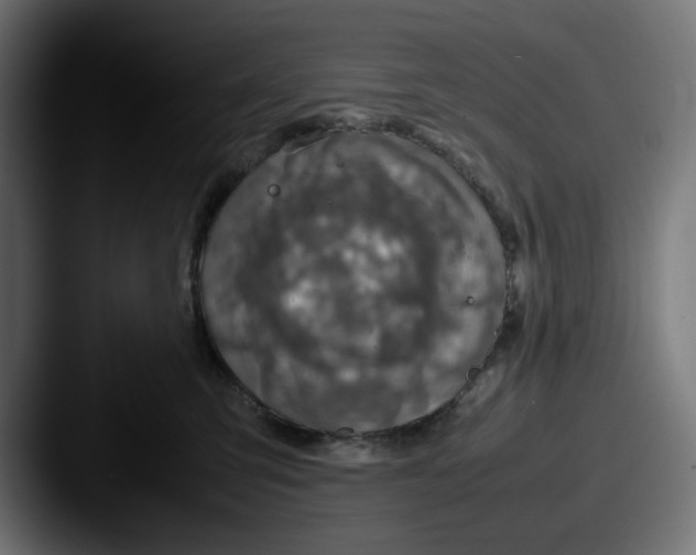 X0000087600423200705181241