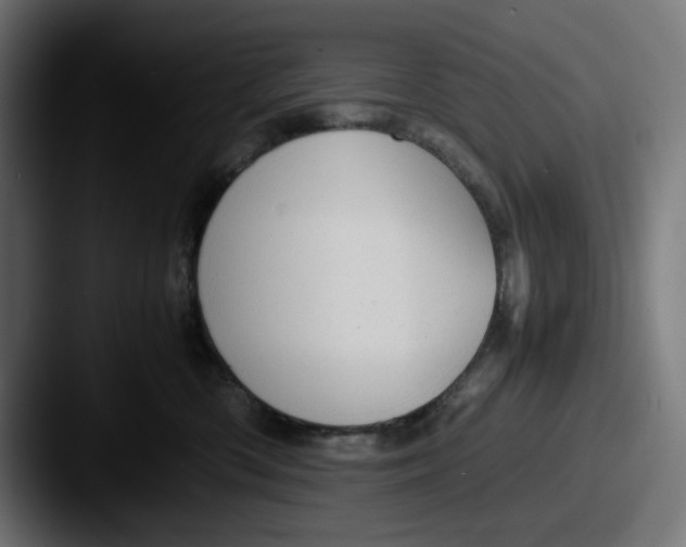 X0000087600426200705181240