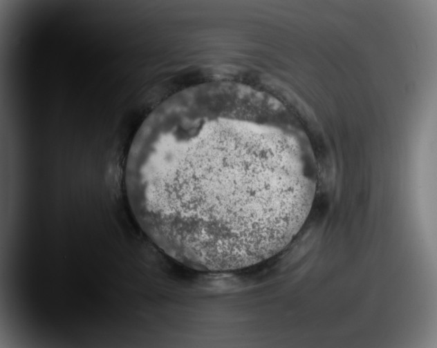 X0000087600427200705181240
