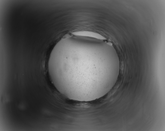 X0000087600428200705181240