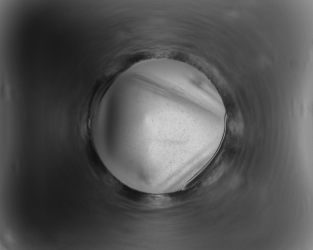 X0000087600429200705181240