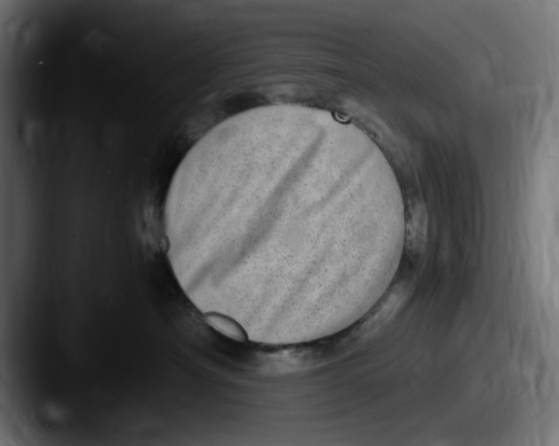X0000087600430200705181240