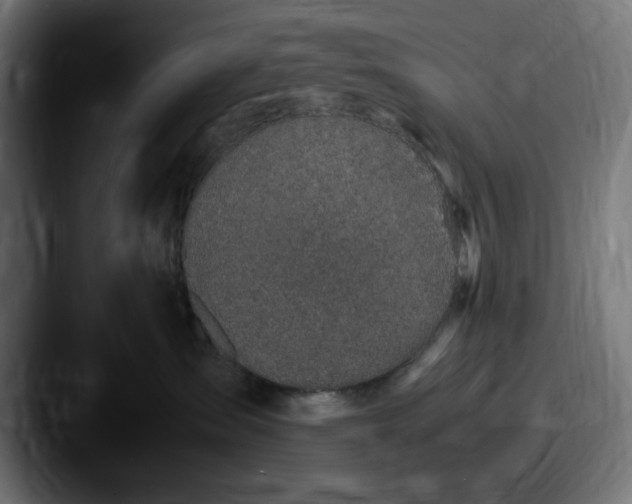 X0000087600431200705181240