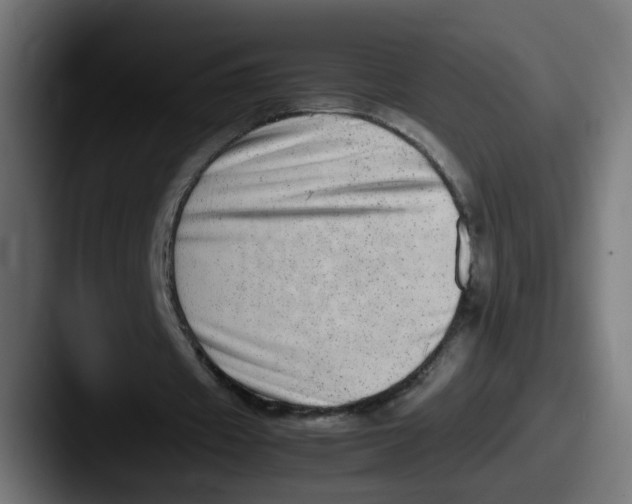 X0000087600433200705181240