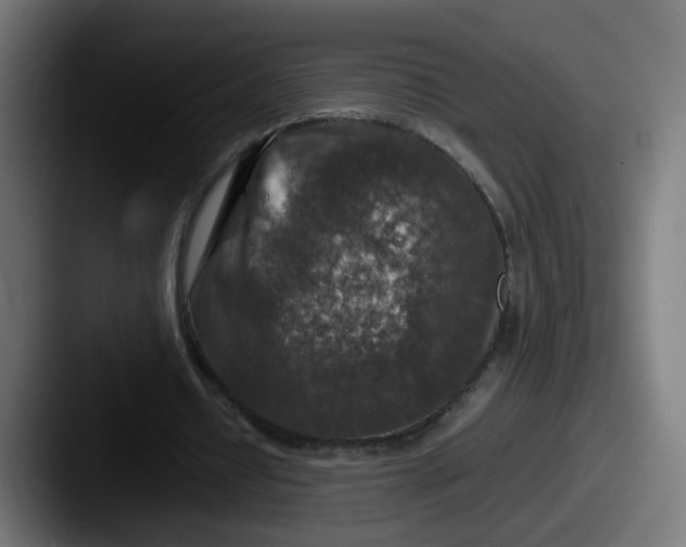 X0000087600434200705181240