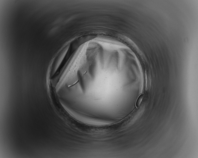 X0000087600435200705181240