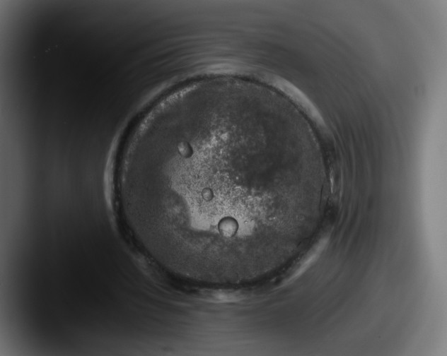X0000087600436200705181240