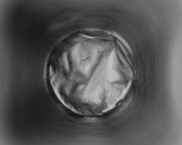 X0000087600437200705181240