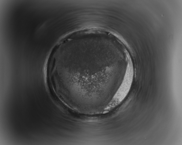 X0000087600438200705181240