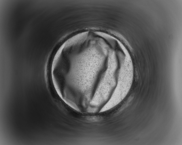 X0000087600439200705181240