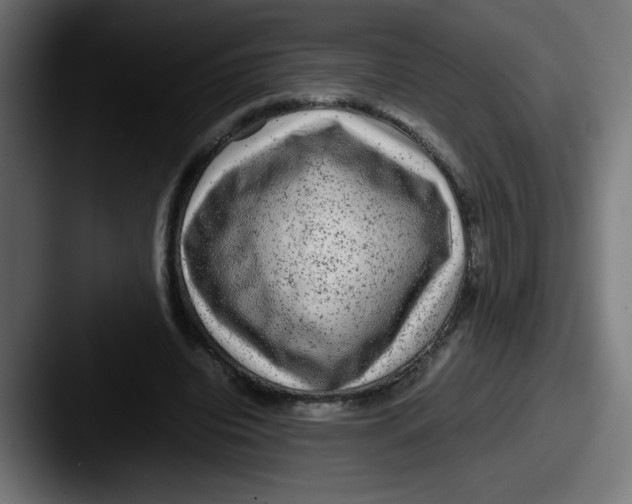 X0000087600440200705181240