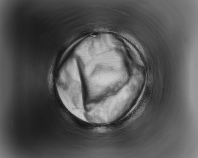 X0000087600441200705181240