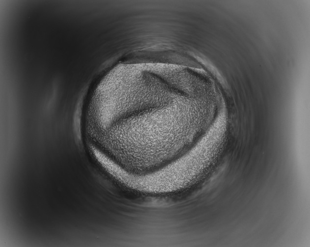 X0000087600442200705181240