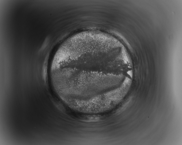 X0000087600443200705181240