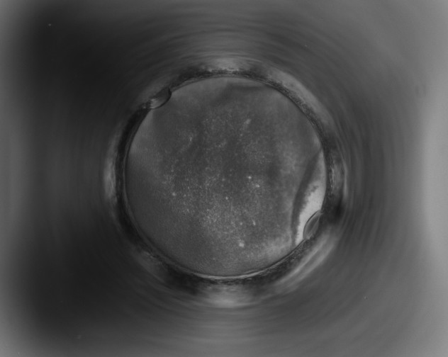X0000087600444200705181240