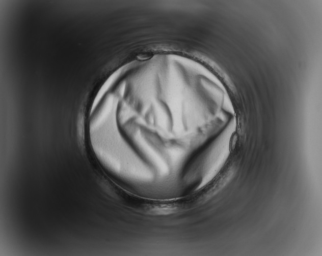 X0000087600445200705181240