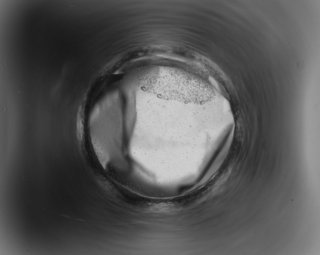 X0000087600446200705181240