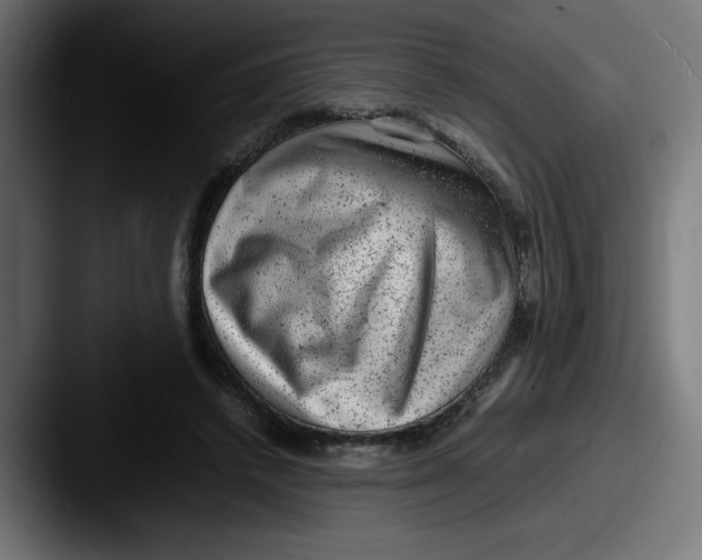 X0000087600448200705181240