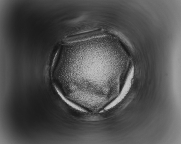 X0000087600449200705181240