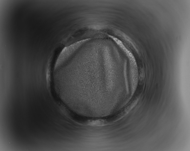 X0000087600452200705181240