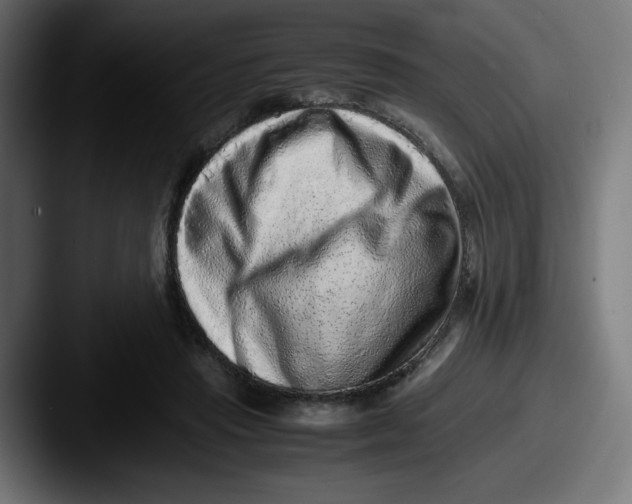 X0000087600453200705181240