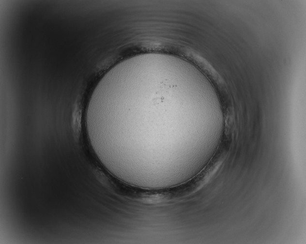 X0000087600454200705181240