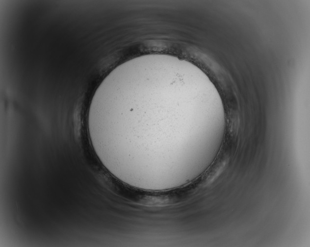 X0000087600455200705181240