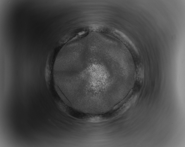 X0000087600456200705181240