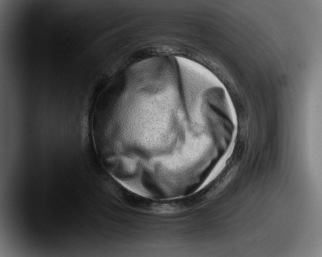 X0000087600457200705181240