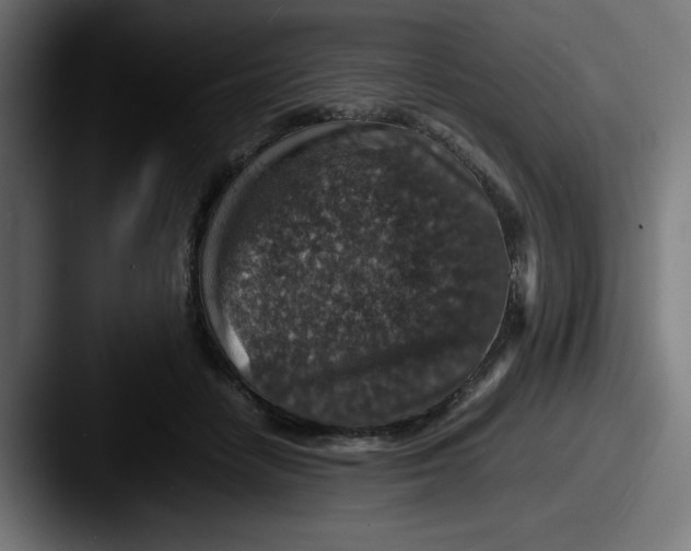 X0000087600458200705181240