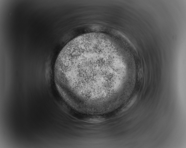 X0000087600459200705181240