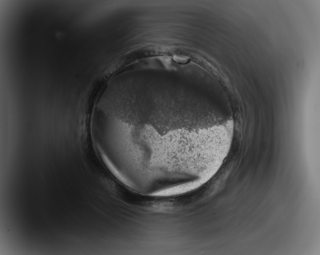 X0000087600462200705181240