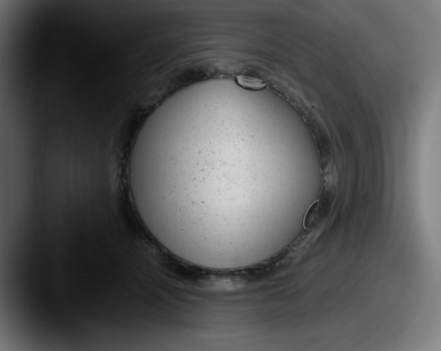 X0000087600464200705181240