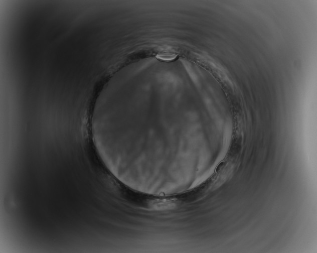 X0000087600465200705181240