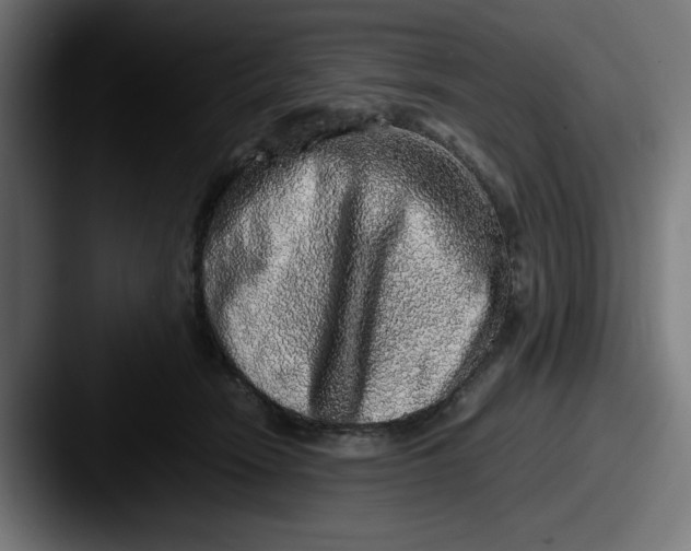 X0000087600466200705181240