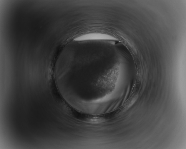 X0000087600467200705181240