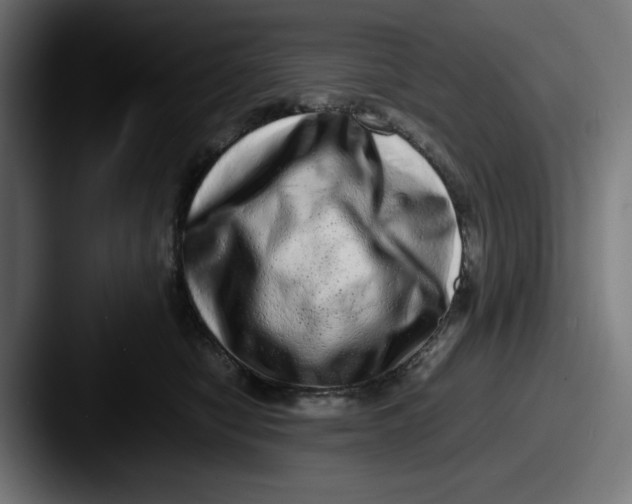 X0000087600470200705181240