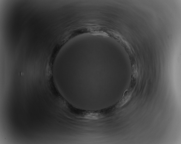 X0000087600471200705181240