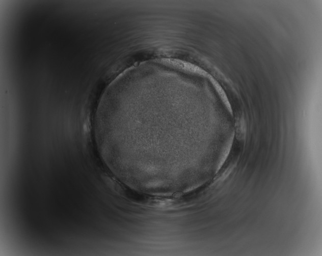 X0000087600472200705181240