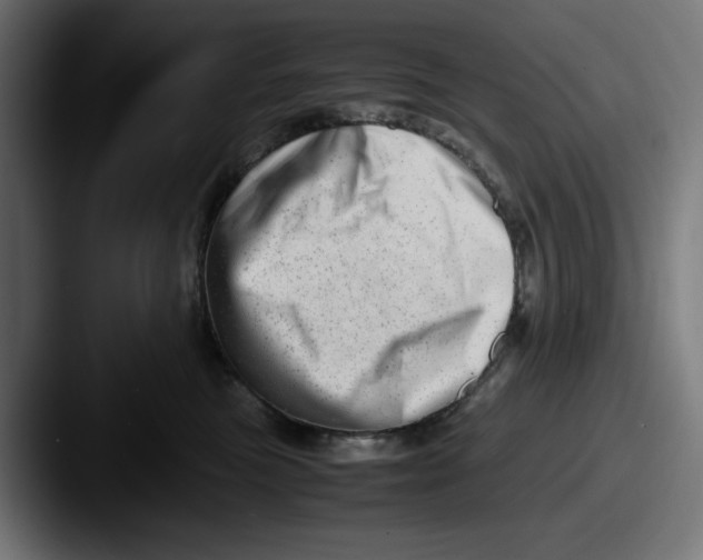 X0000087600473200705181240