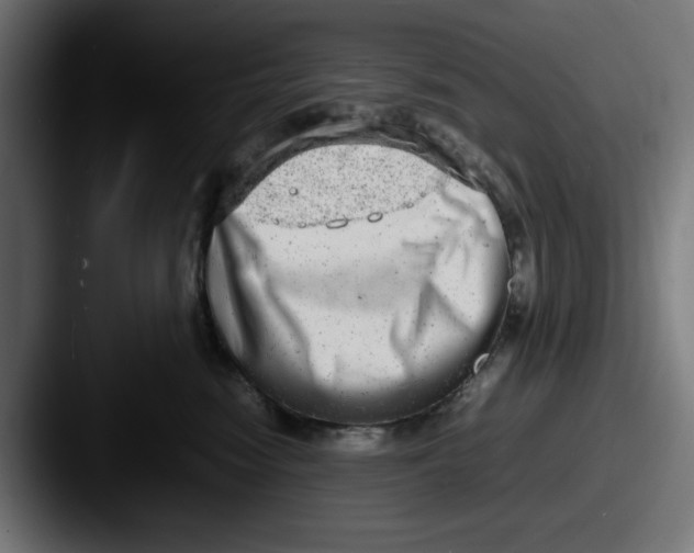 X0000087600474200705181240