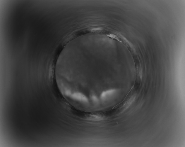 X0000087600475200705181240