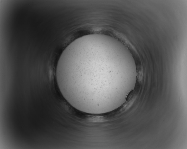 X0000087600476200705181240