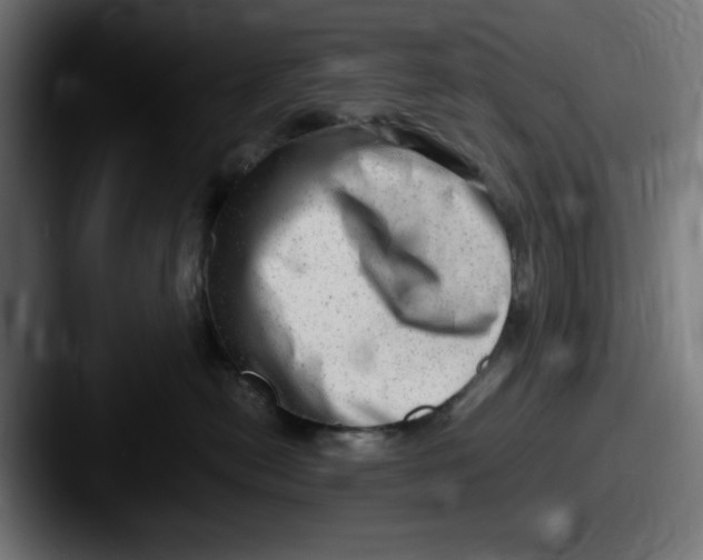 X0000087600478200705181240