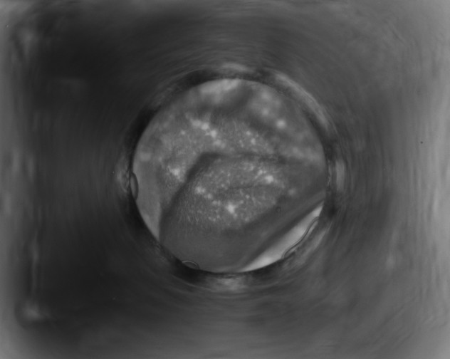 X0000087600479200705181240